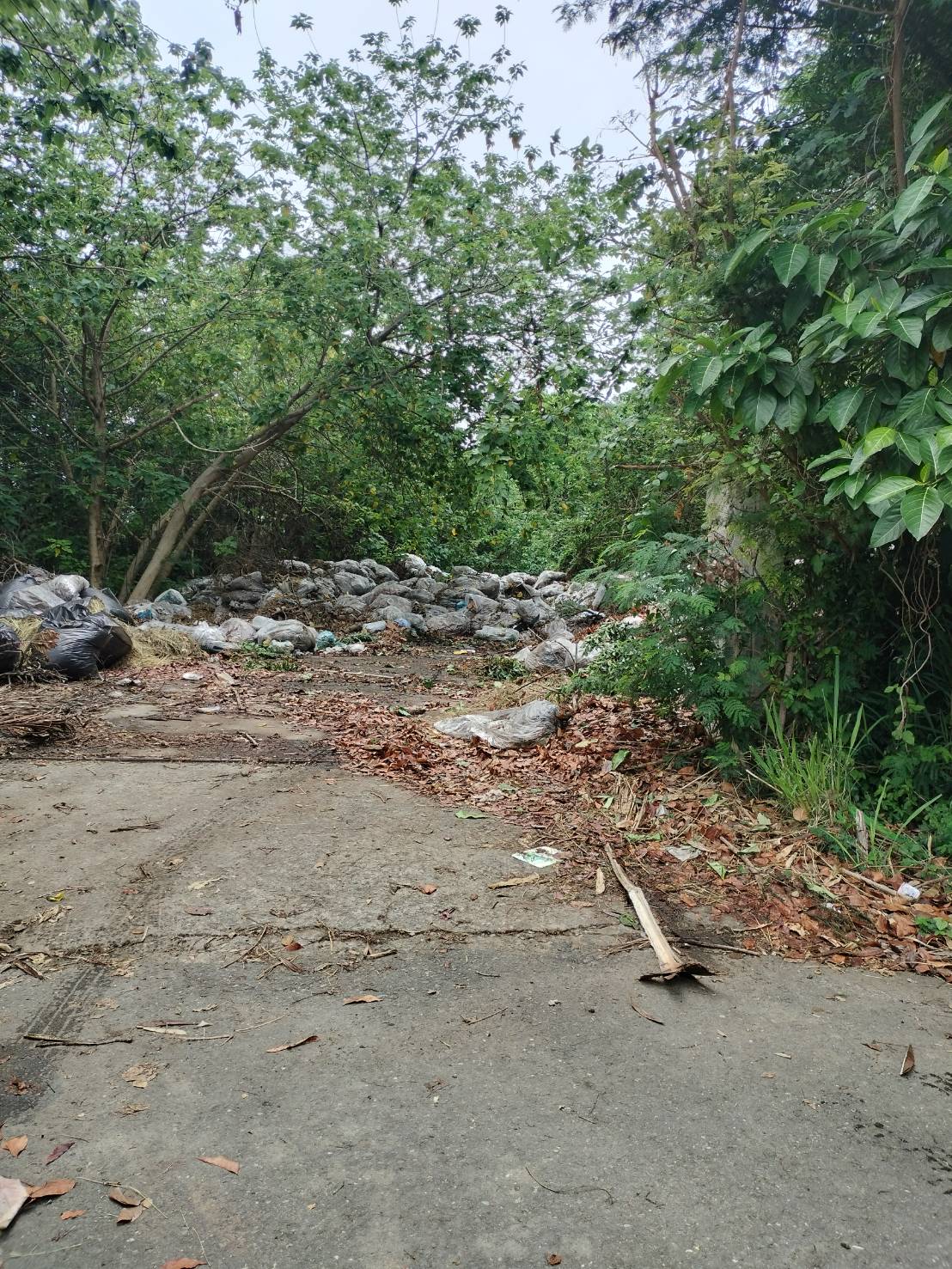 嘉義植物性廢渣處理(樹枝、樹葉)