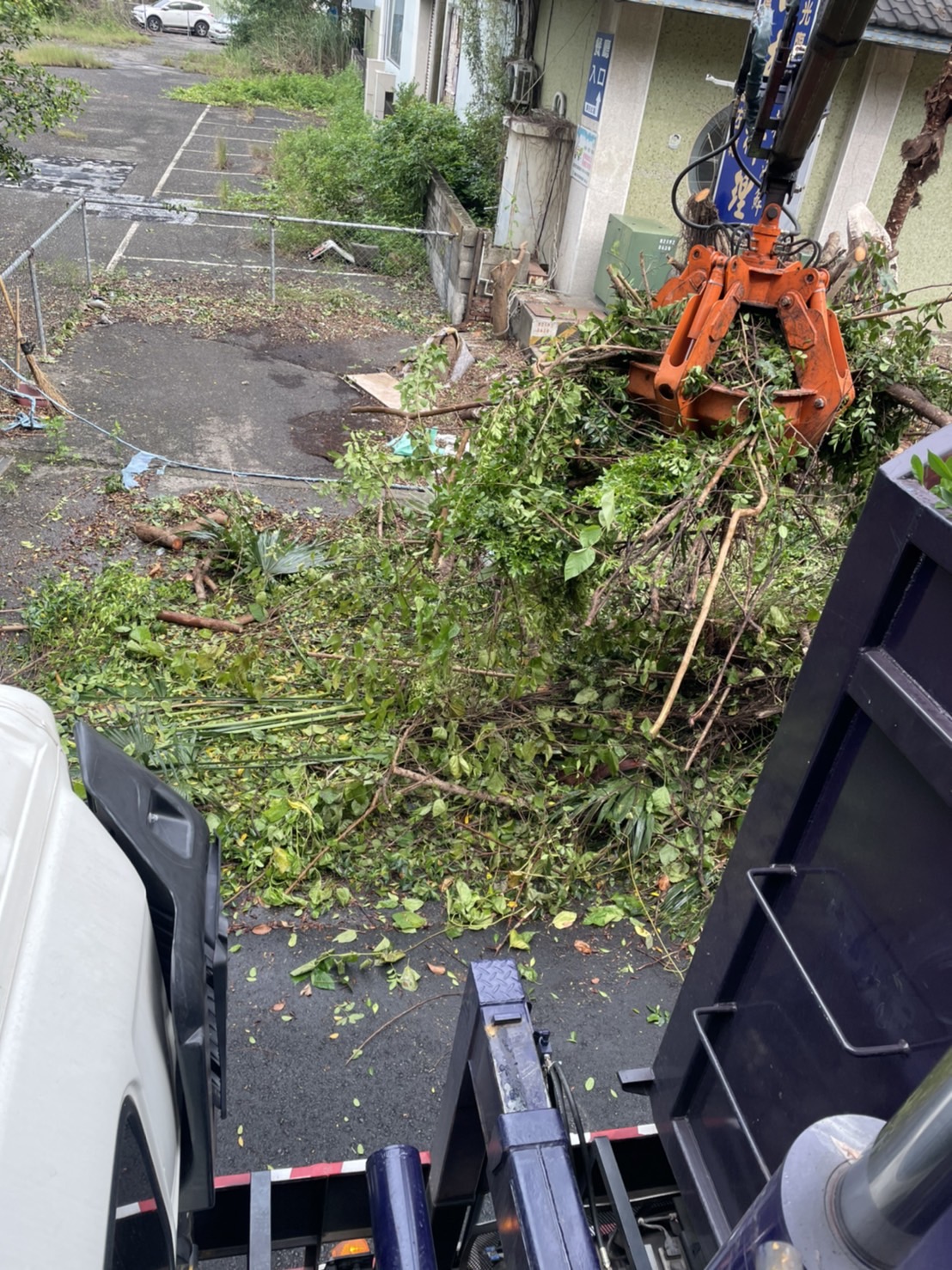 嘉義清運樹木樹枝