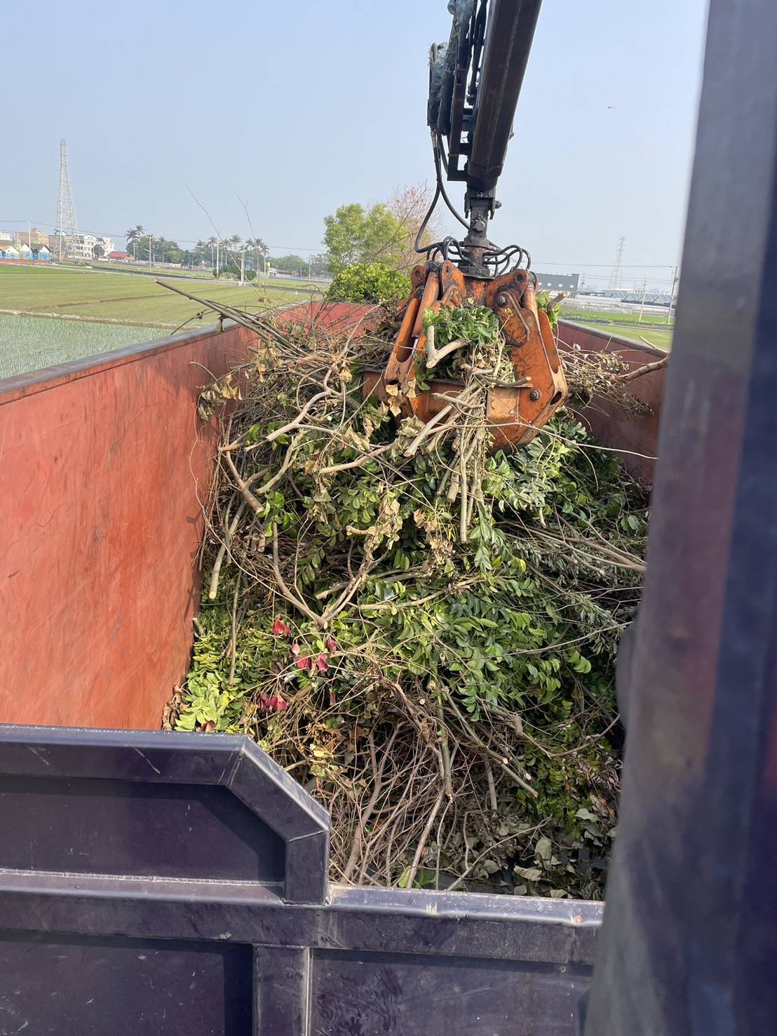嘉義道路樹枝修剪清運