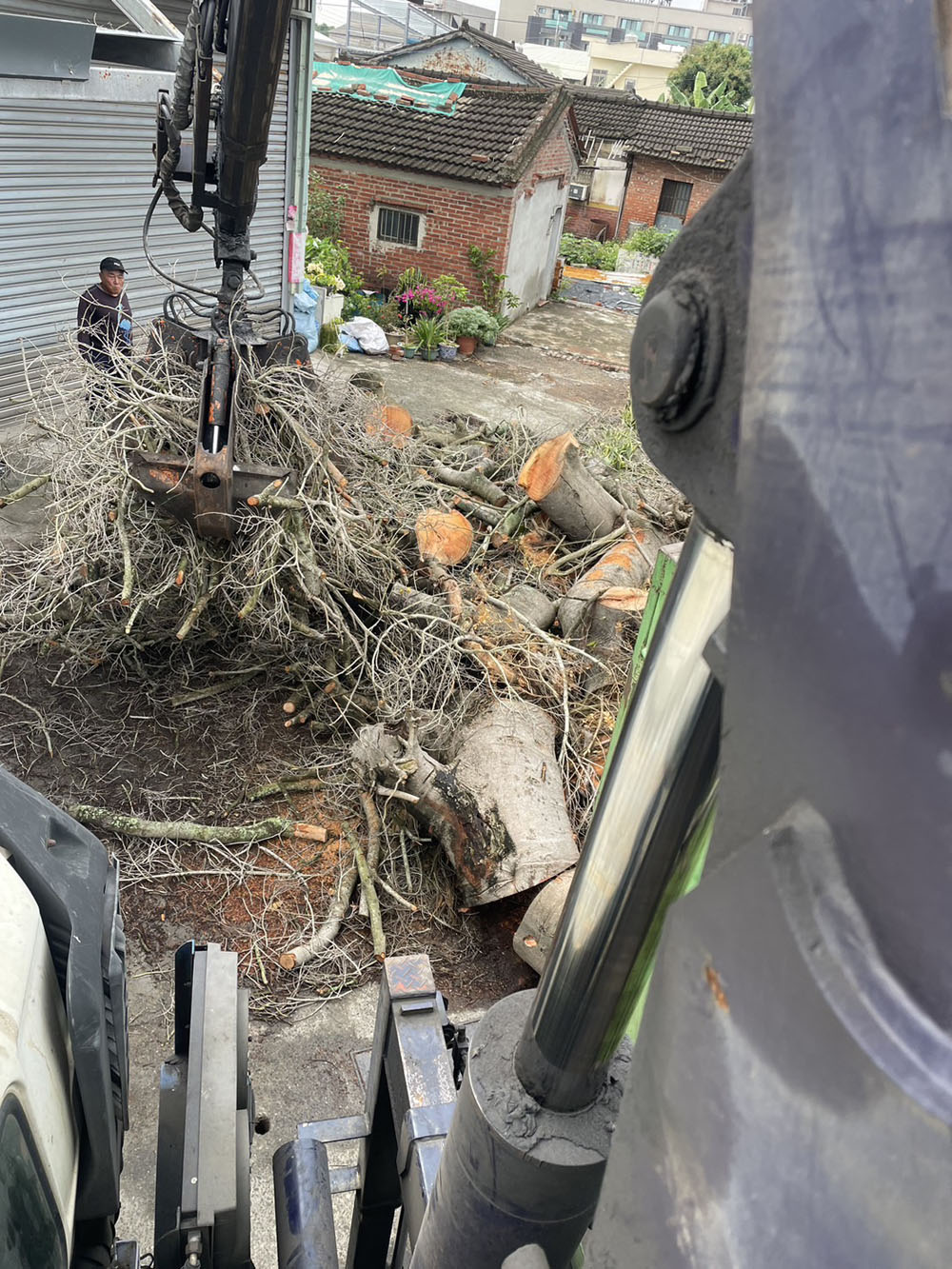 嘉義廢樹枝樹幹清運