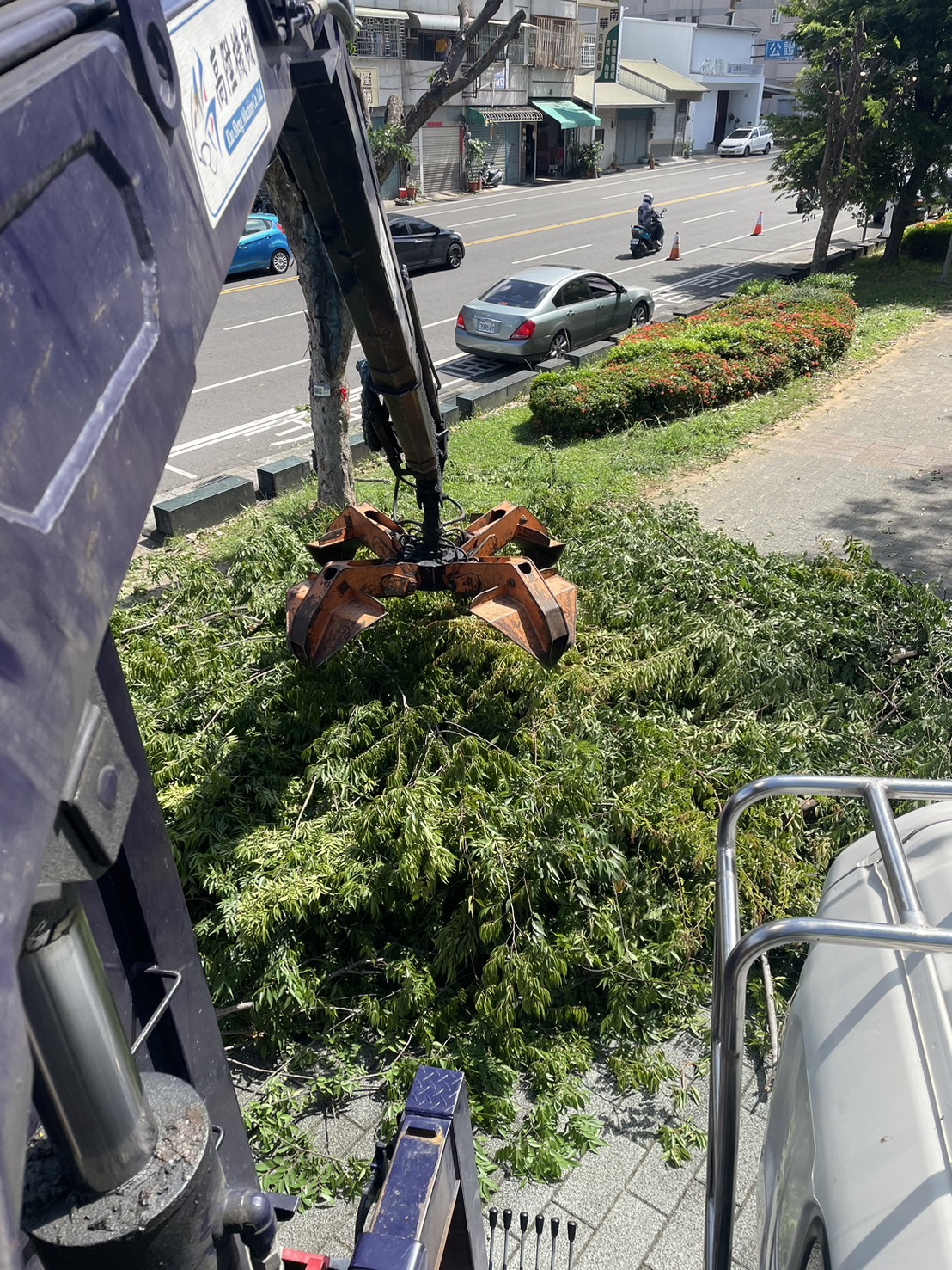 嘉義樹枝修剪清運